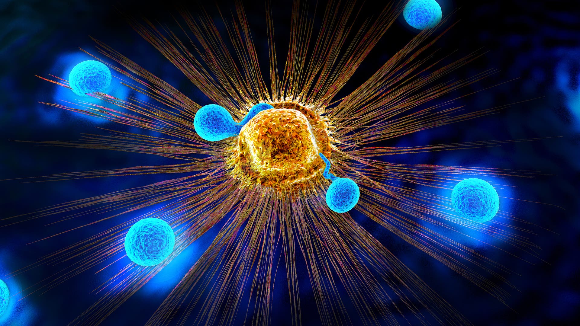 CAR-T-Zellen-Weltweit-erste-Therapie-mit-Spenderzellen-bei-Autoimmunkrankheiten