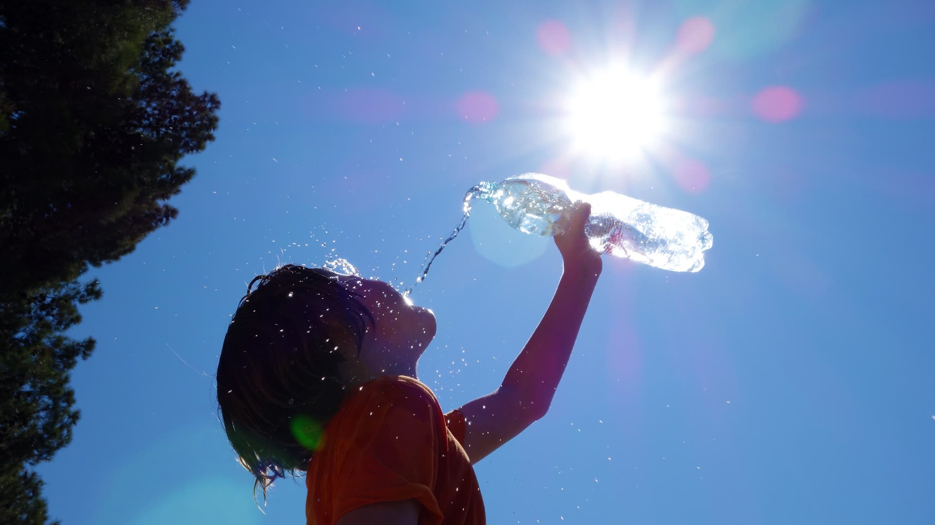Climate change: Europe: the fastest warming continent