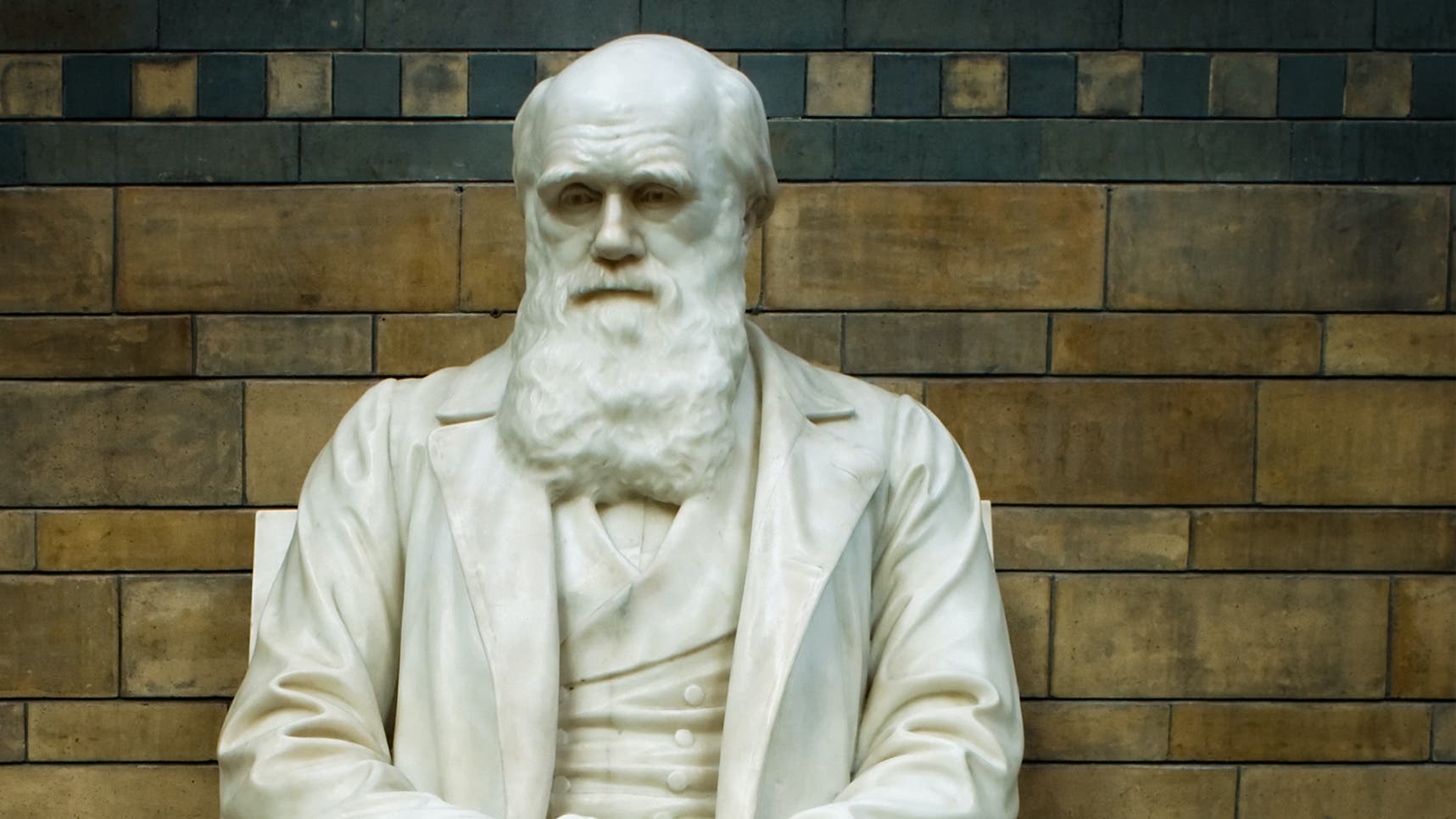 Kleine Geschichte der Evolutionslehre von Alfred Russel Wallace