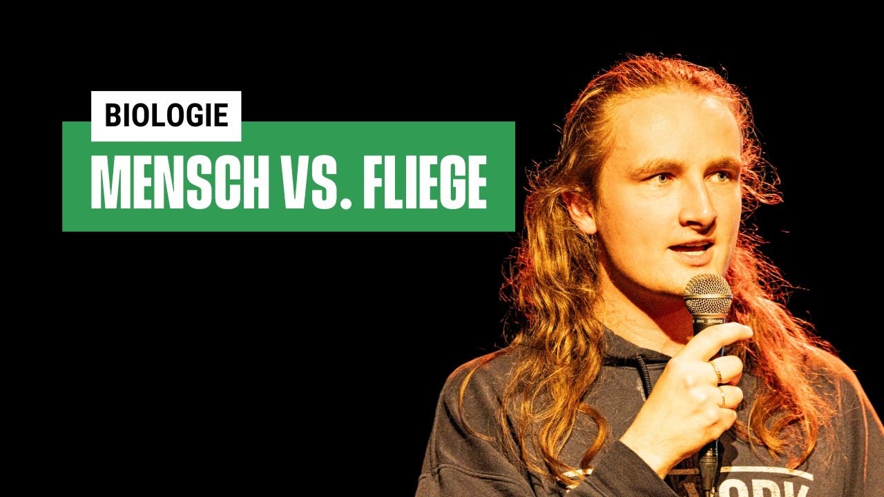 P-rierte-Fliegen-f-r-bessere-Verdauung-