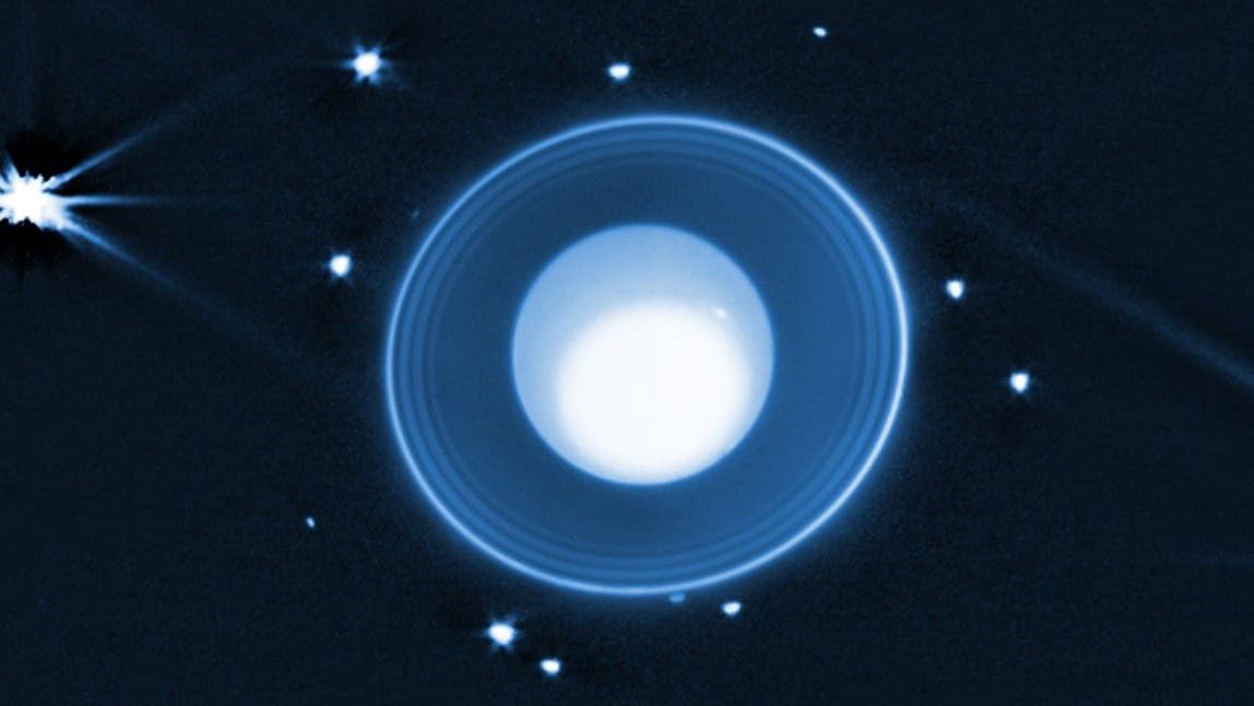 www.spektrum.de