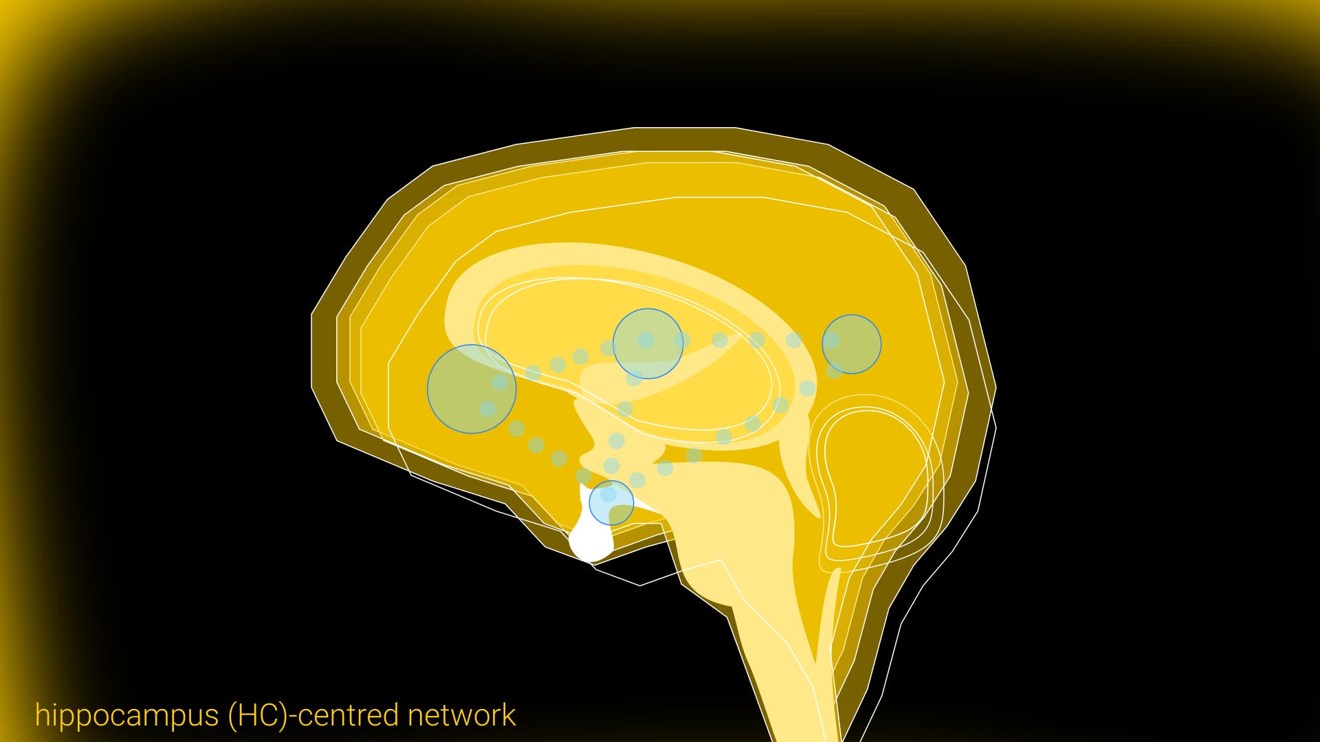 Hypothalamus moderne Darstellung