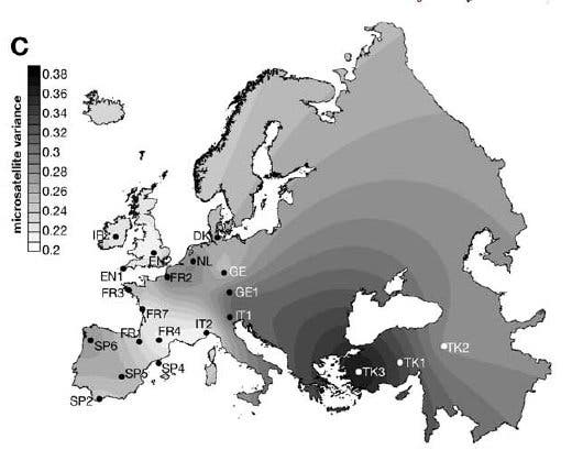 Ausbreitung der häufigsten männlichen Haplogruppe in Europa