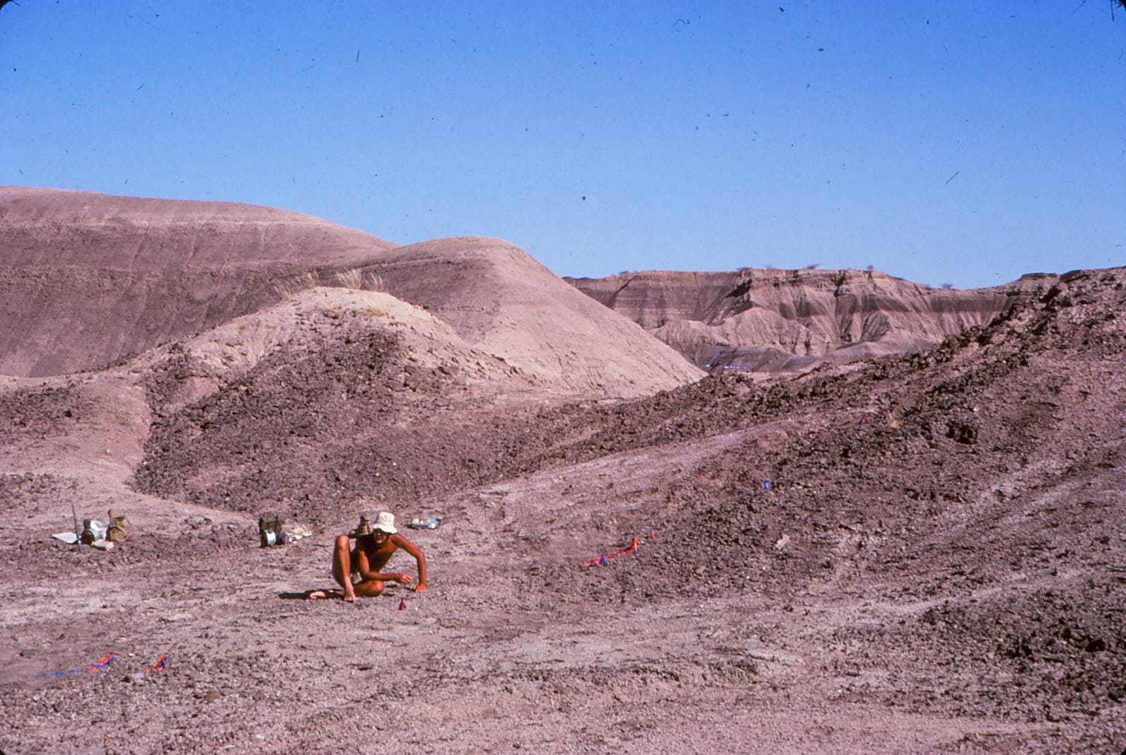 Fundstätte von Australopithecus afarensis (»Lucy«) in Hadar