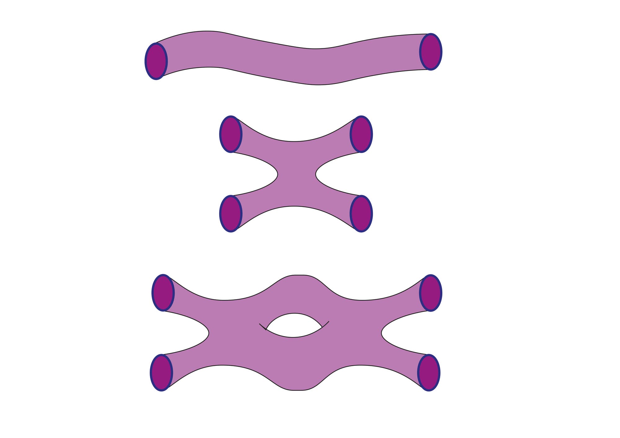 Drei abstrakte, lilafarbene 3D-Formen auf weißem Hintergrund, die verschiedene topologische Strukturen darstellen. Oben eine wellenförmige Röhre, in der Mitte eine Form mit vier Röhren, die sich in der Mitte kreuzen, und unten eine komplexere Struktur mit vier Röhren und einem zentralen Loch. Alle Formen haben dunkelviolette Enden.