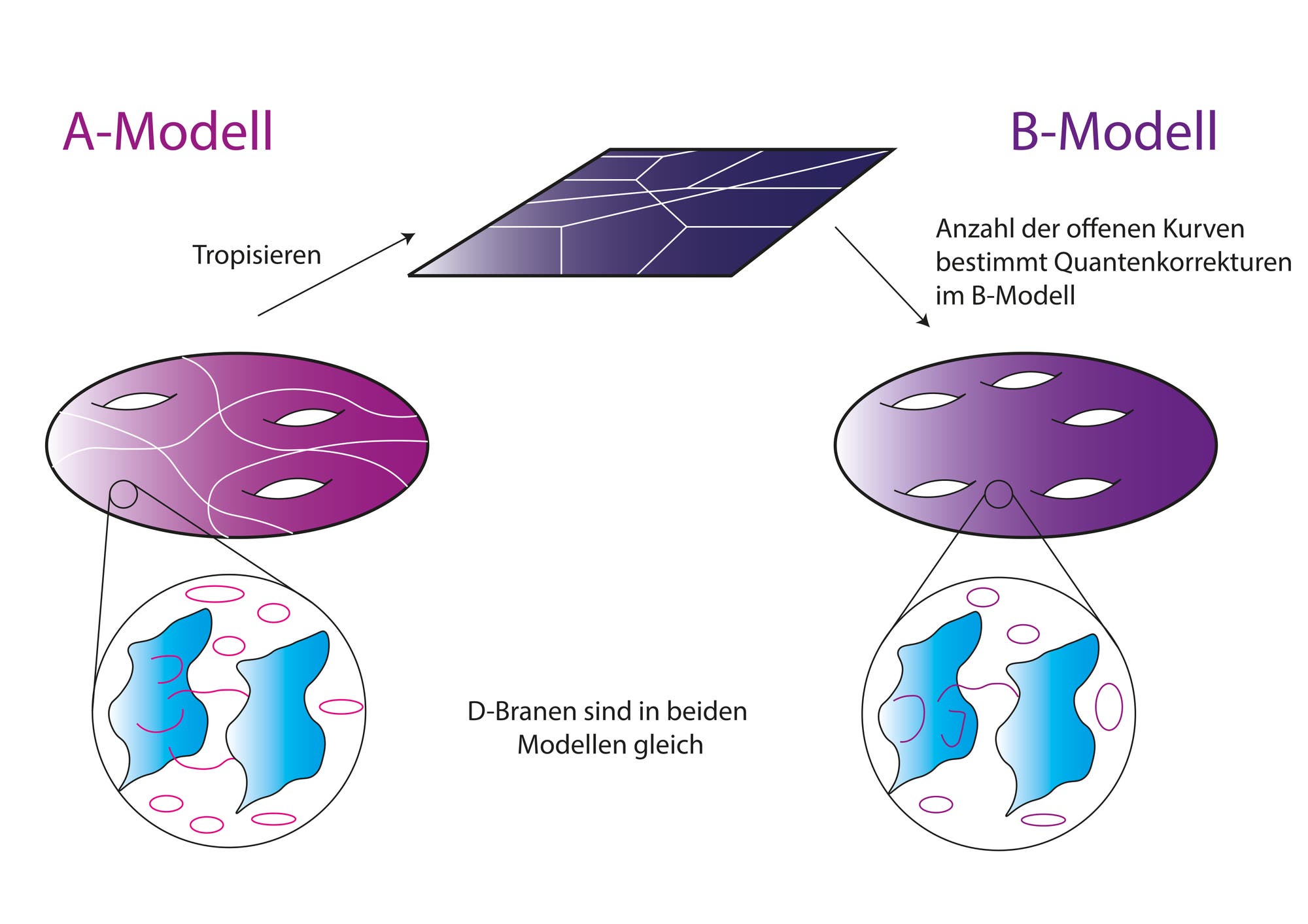 Diagramm, das den Übergang vom A-Modell zum B-Modell in der Stringtheorie veranschaulicht. Oben zeigt das A-Modell eine algebro-geometrische Struktur mit geschlossenen und offenen Strings sowie D-Branen. Ein Pfeil weist auf den Prozess des Tropisierens hin, der zu einer polygonalen Darstellung führt. Darunter wird erklärt, dass die Anzahl der offenen Kurven Quantenkorrekturen im B-Modell bestimmt. Unten zeigt das B-Modell eine ähnliche Struktur mit D-Branen, die in beiden Modellen gleich sind.