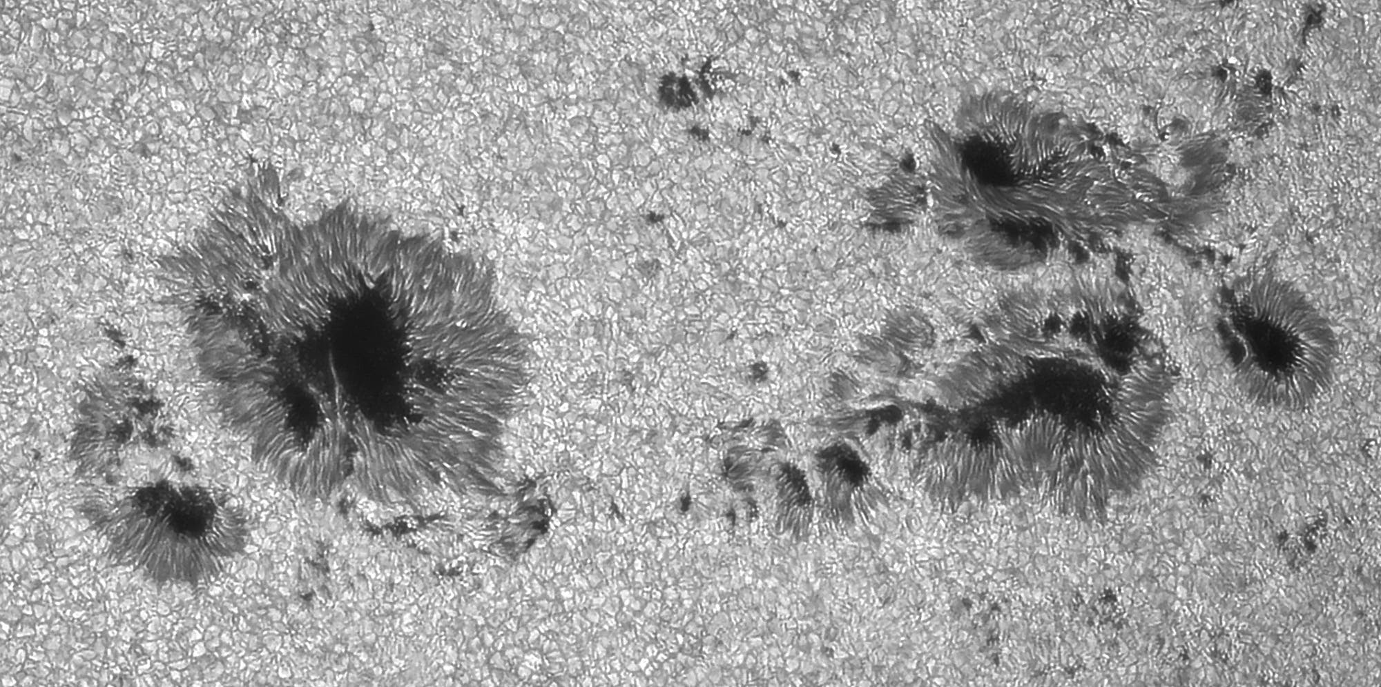 Sonnenfleckengruppe im Detail