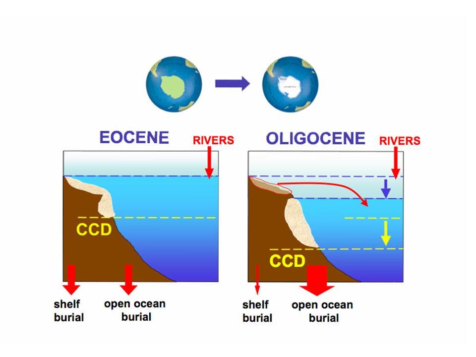 Kohlenstoffkreislauf: Umwälzungen im Oligozän