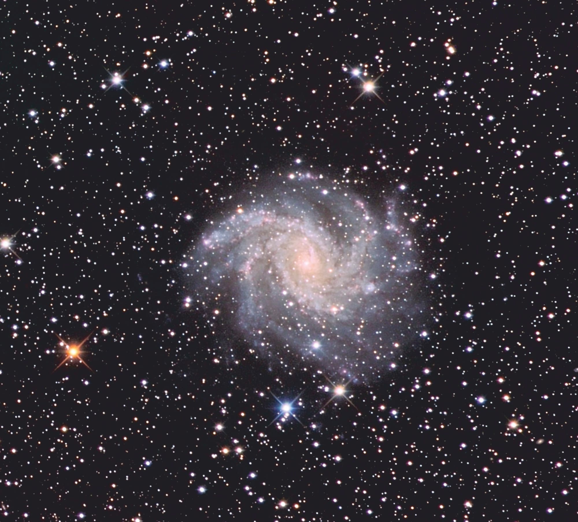 Spiralgalaxie NGC 6946 