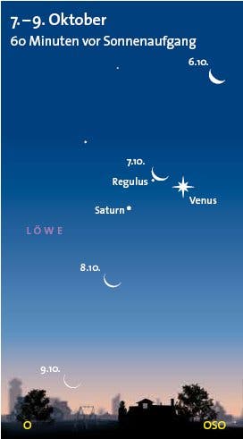 Venus und Saturn besuchen Regulus