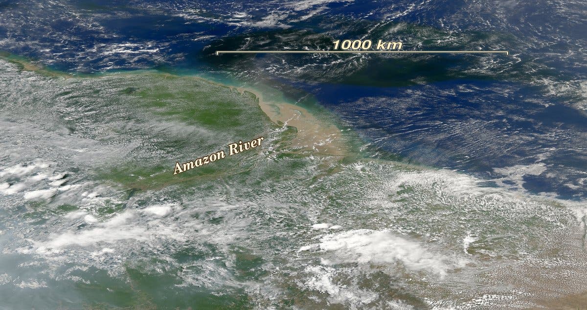 Amazonasmündung