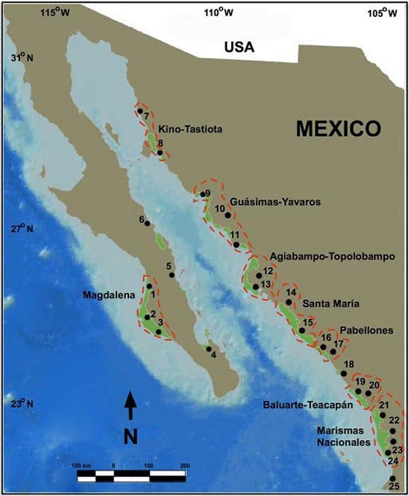 Untersuchungsgebiet in Mexiko