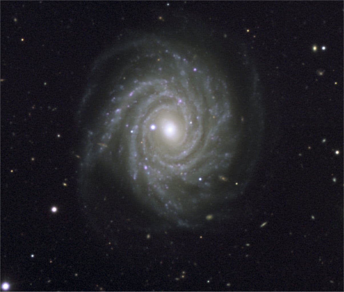 Supernova in der Spiralgalaxie NGC 1288