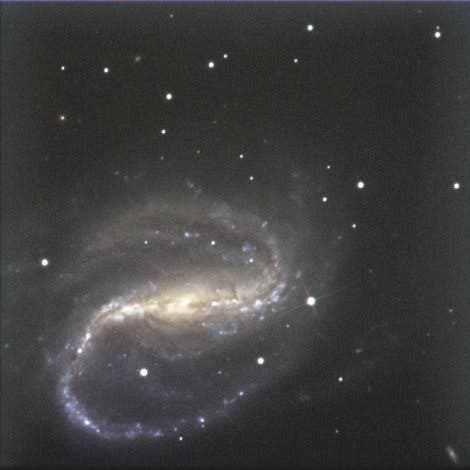 Zum Vergleich: NGC 7479