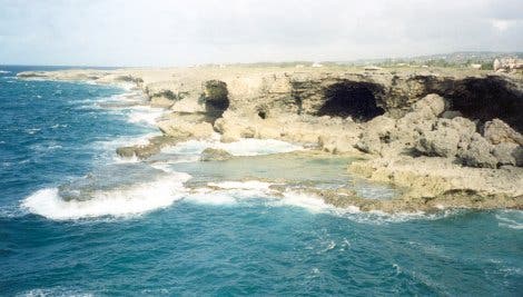 Korallen-Kliff, Barbados
