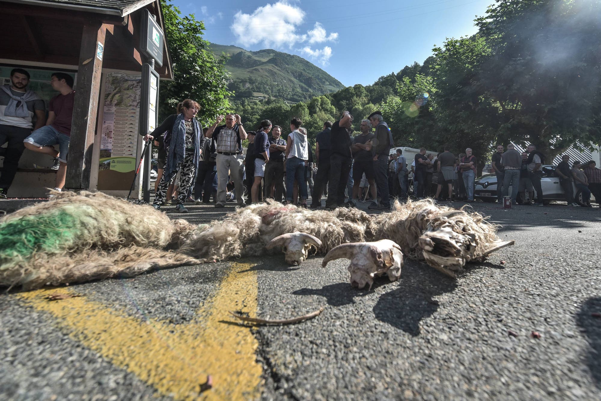 Eine Gruppe von Menschen steht auf einer Straße in einer bergigen Gegend, während im Vordergrund die Überreste eines Schafs auf dem Asphalt liegen. Die Szene findet bei Tageslicht statt, im Hintergrund sind Bäume und ein Berg zu sehen. Die Menschen scheinen in Diskussionen vertieft zu sein.
