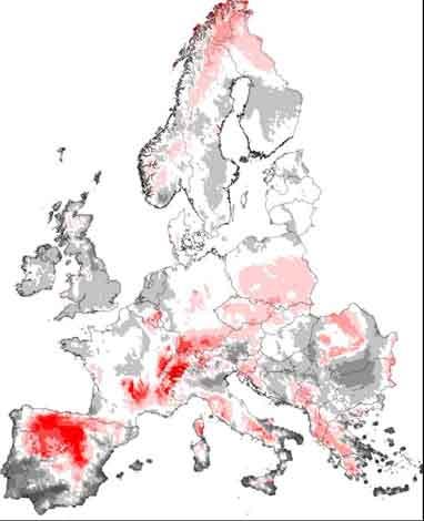 Artenverluste in Europa