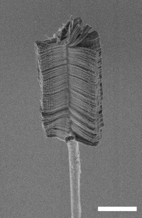 Nanobürste