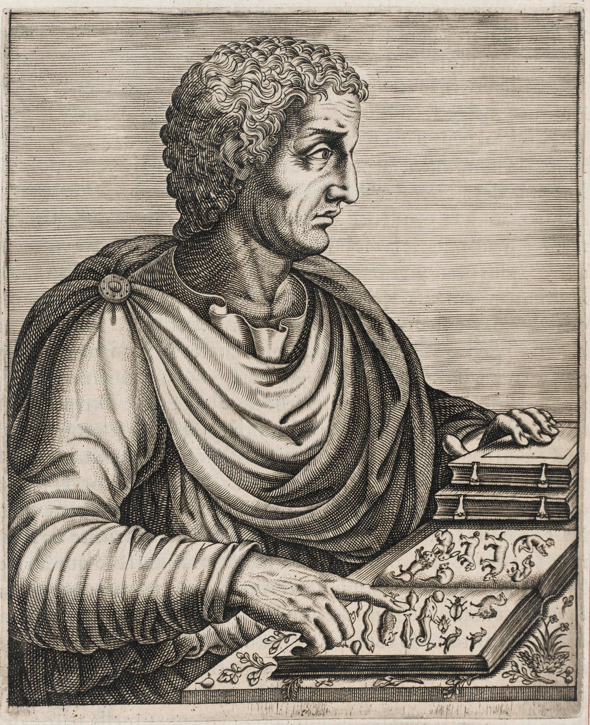 Neuzeitliches Porträt des Römers Gaius Plinius Secundus.