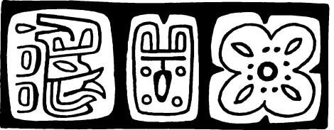 In Mexiko gefundene Hieroglyphen