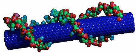 Nanoröhrchen mit DNA