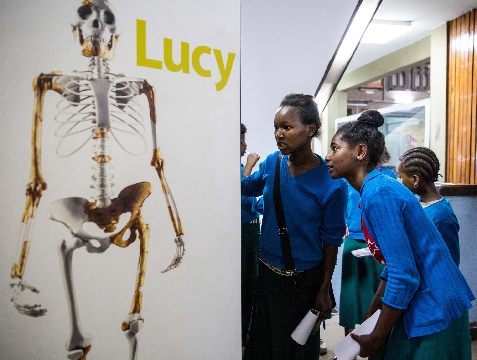 Plakat von Lucy im Nationalmuseum von Äthiopien in Addis Abeba