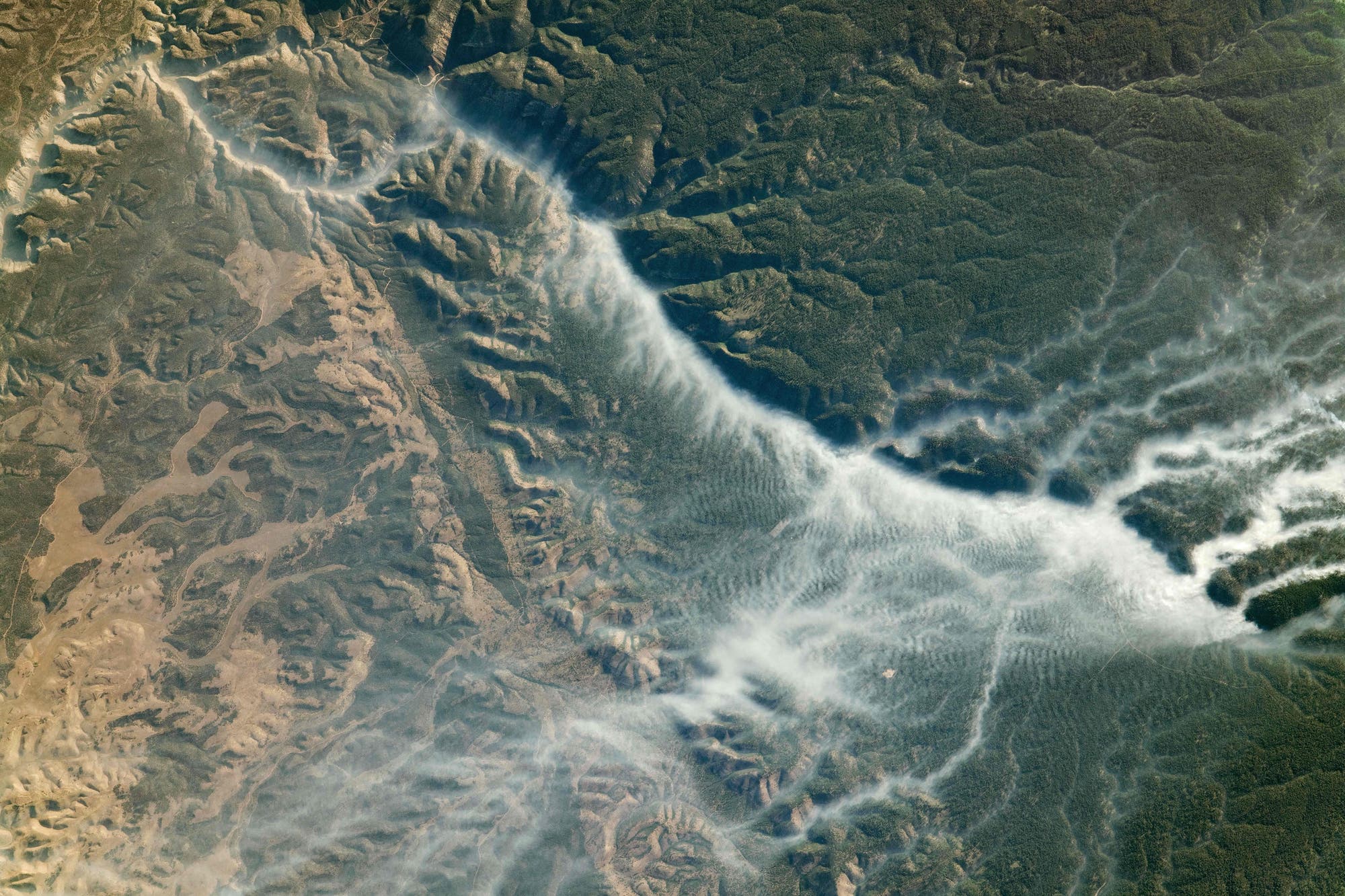 Waldbrände in Arizona von der ISS aus gesehen