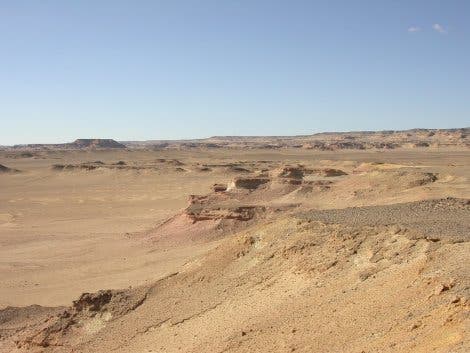 Fayum-Wüste