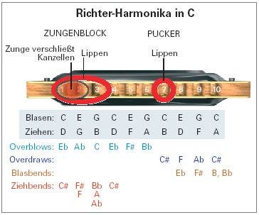 Richter-Harmonika in C