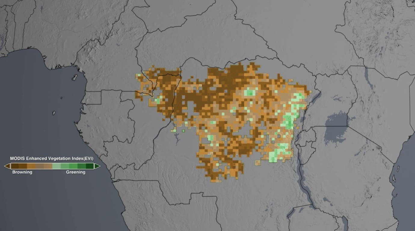 Zunehmende Verbraunung im Kongo