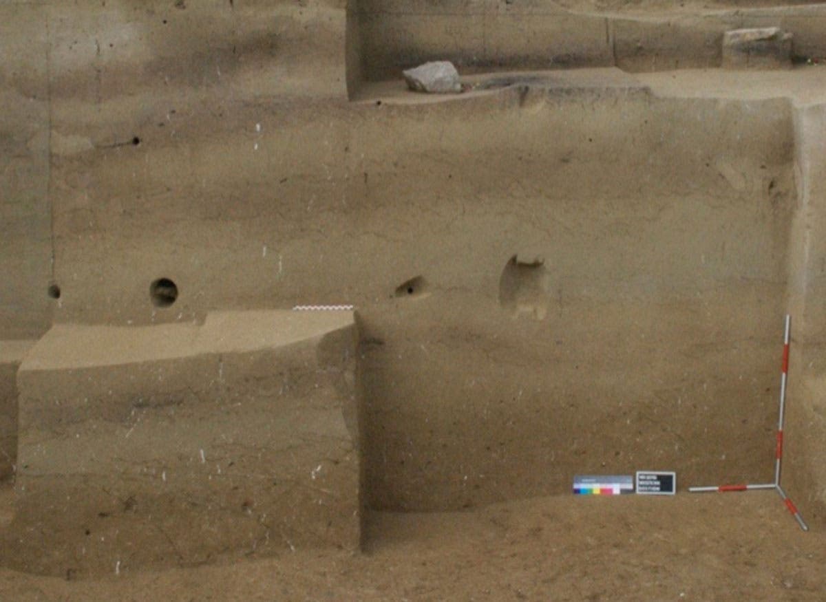 Ausgrabungsschichten enthält frühe Aurignacien-Funde