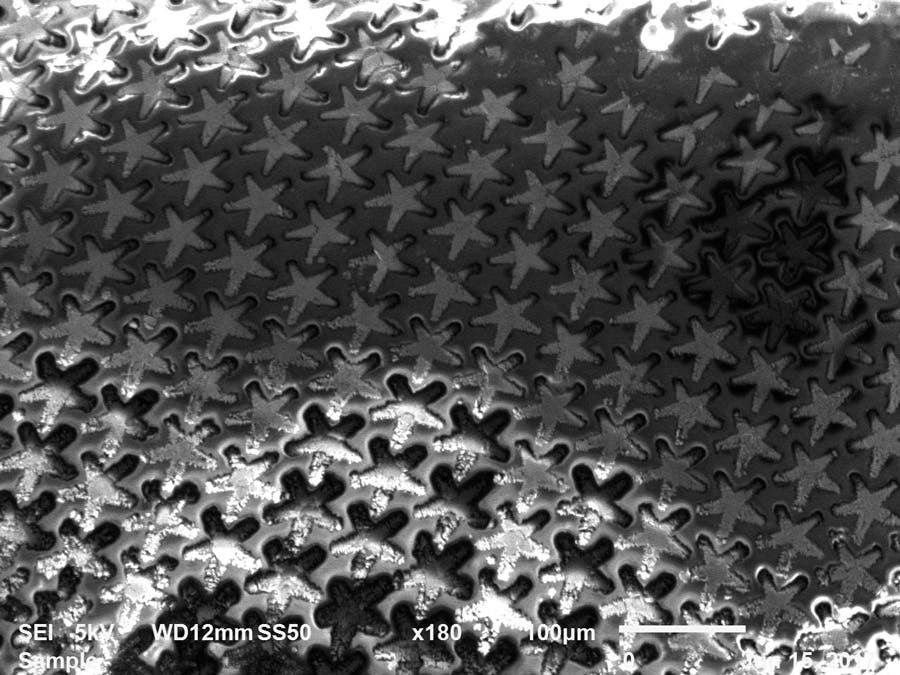 Elektronenmikroskopische Aufnahme einer Art Folie aus mikrometergroßen Sternen