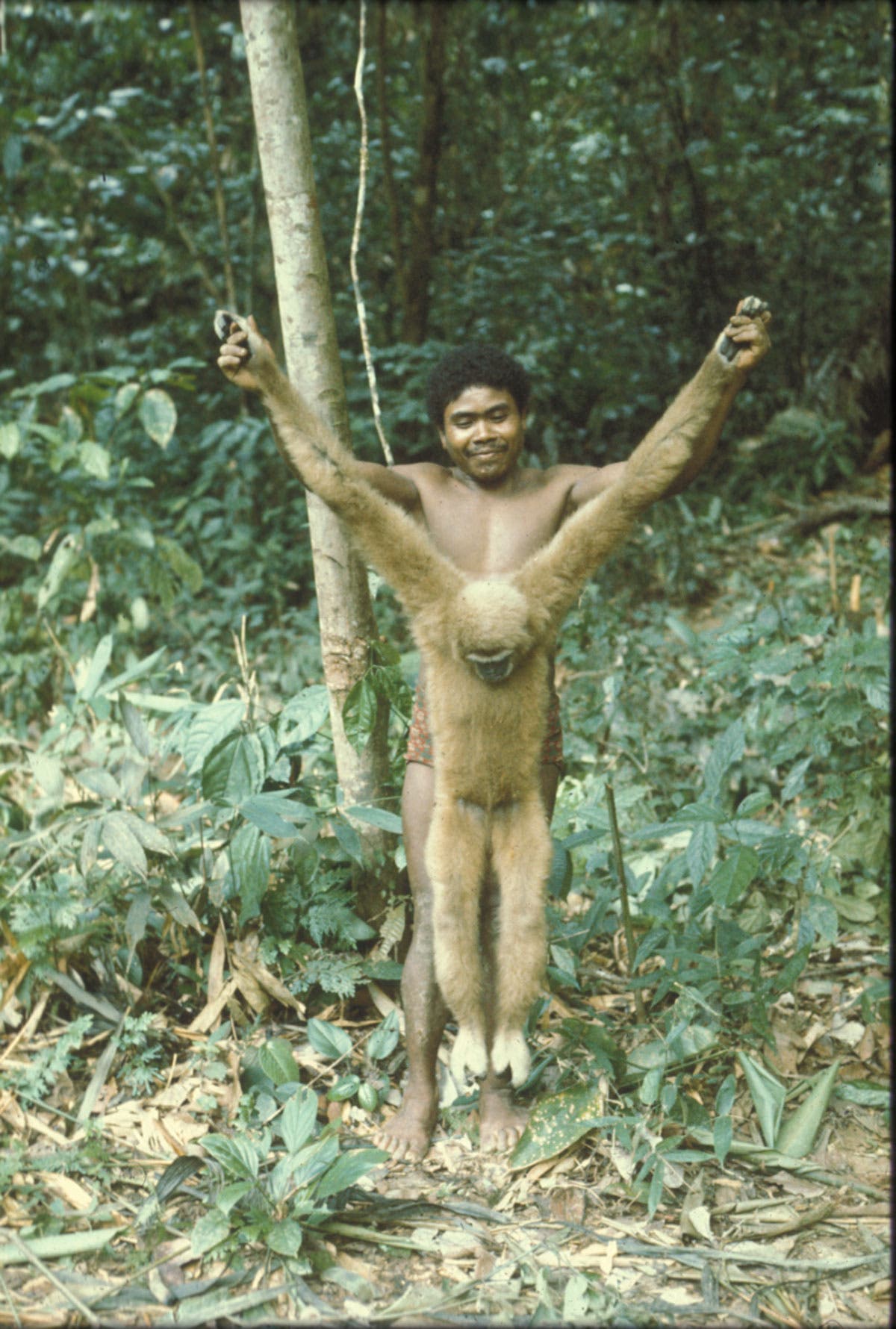 Ein indonesischer Jäger in Shorts steht zwischen Bäumen und hält einen toten, etwa kindgroßen Affen in Kreuzigungspose.