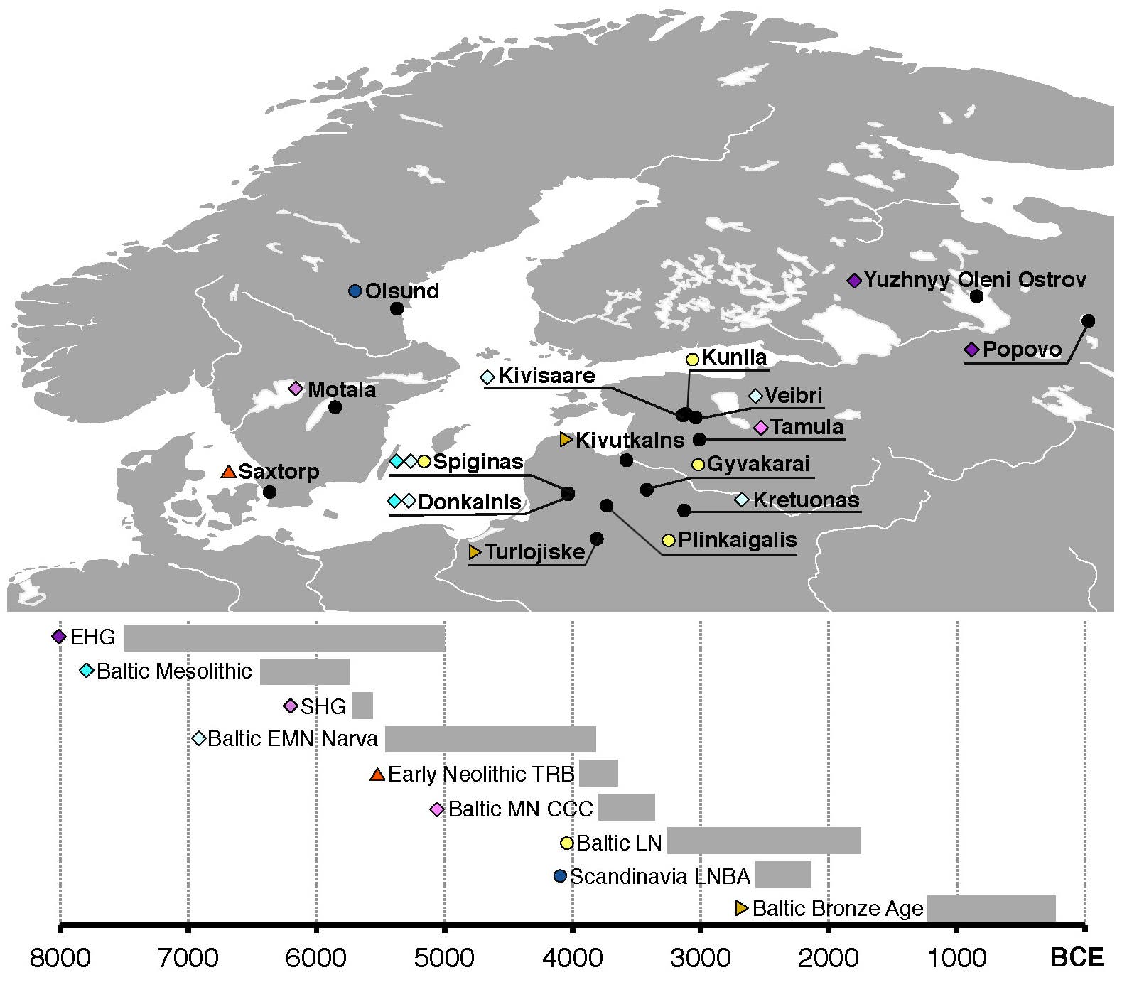 Landkarte und Timeline der Genome von frühen Siedlern im Norden und Nordosten Europas