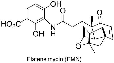 Struktur von Platensimycin