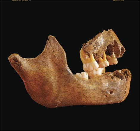 Der uralte Neandertaler-Unterkiefer lag in der belgischen Sclandina-Höhle. 