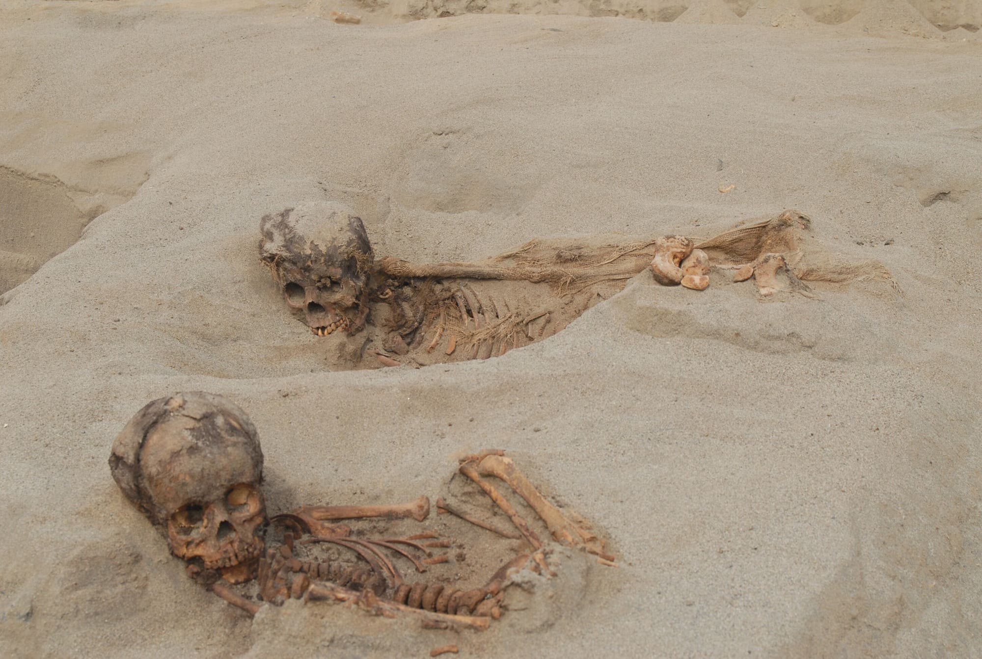 Skelette in der Wüste