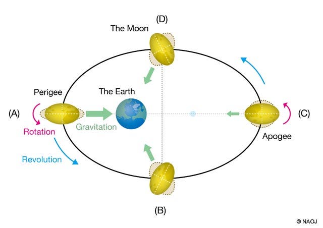 Die Verformung des Mondes durch die Erdgezeiten