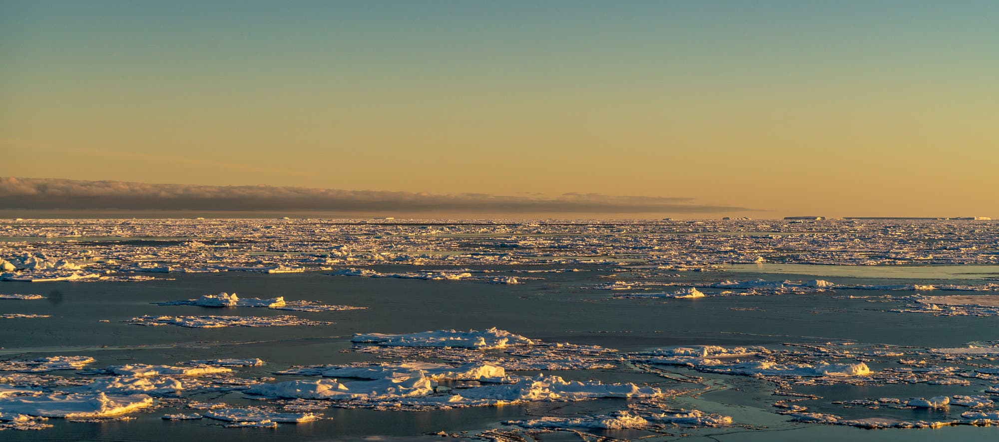 Blick über das Packeis der Antarktis.