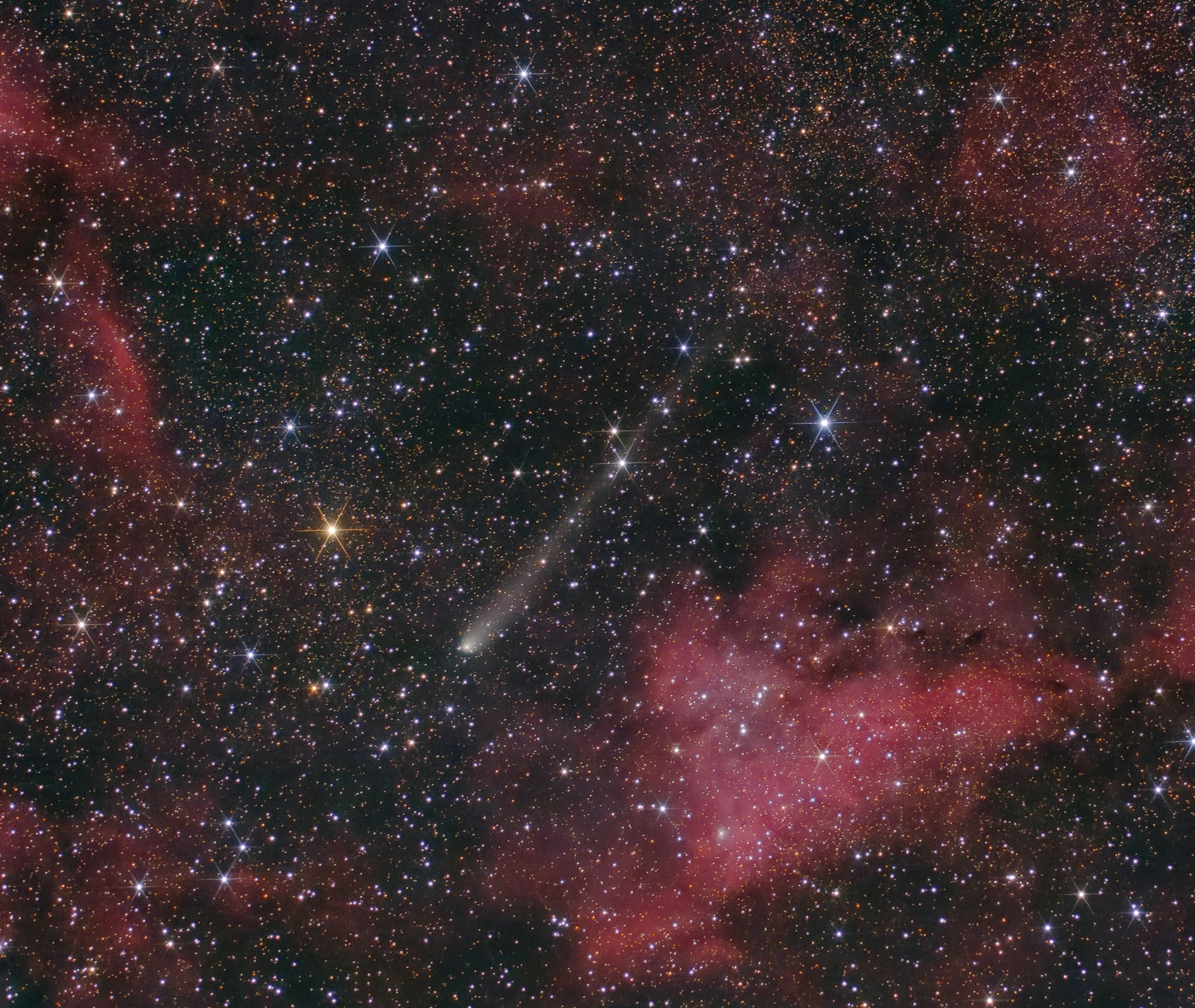 Fotografie des Kometen C/2021 S3 (PANSTARRS) mit Schweif