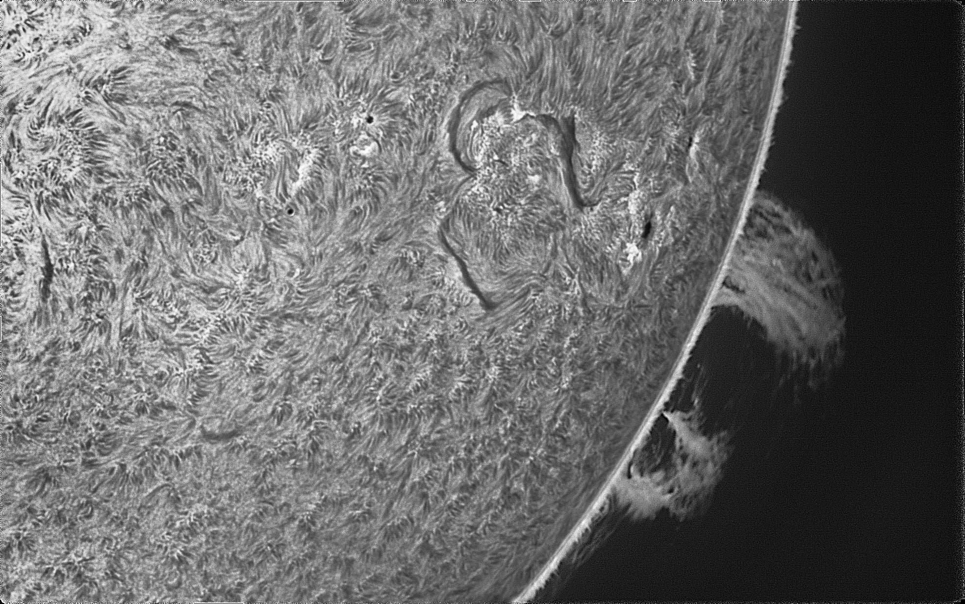 Imagen en blanco y negro de la superficie del sol, que muestra estructuras detalladas y parcelas. Una gran protuberancia que difiere del borde del sol es visible en el lado derecho. La superficie está cubierta por modelos finos y giratorios que representan la actividad solar. No hay gente ni mensaje de texto en la foto.
