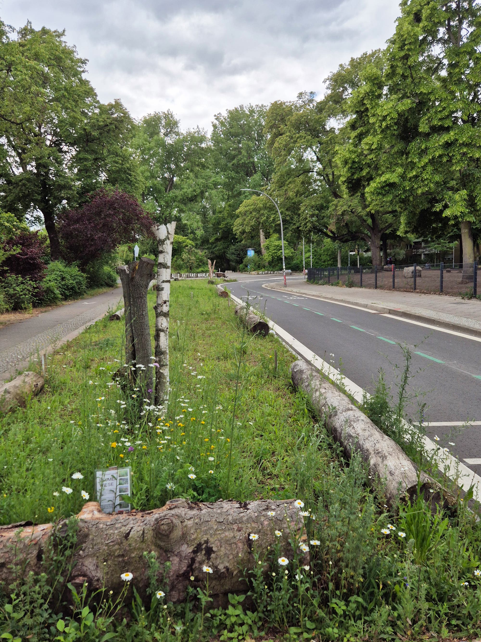 Ein asphaltierter Weg schlängelt sich durch eine grüne Landschaft mit Wildblumen und Baumstämmen, die als natürliche Barriere dienen. Im Hintergrund sind Bäume und ein Schild mit teilweise verdecktem Text zu sehen.