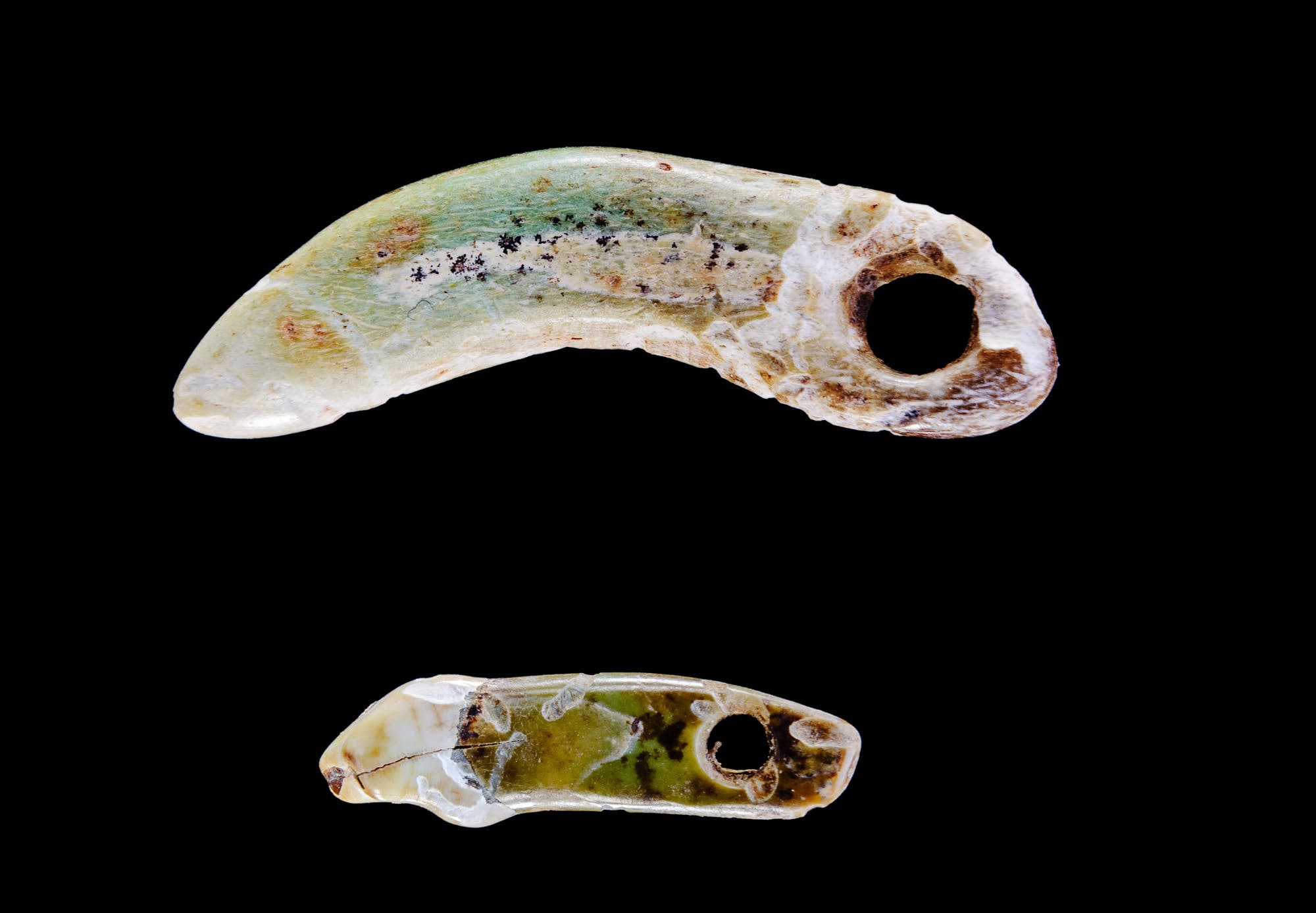Zwei prähistorische Schmuckanhänger aus Stein auf schwarzem Hintergrund. Der obere Anhänger hat eine gebogene, klauenartige Form mit einem Loch an einem Ende und zeigt grünliche und bräunliche Verfärbungen. Der untere Anhänger ist kleiner, flacher und ebenfalls mit einem Loch versehen, mit einer unregelmäßigen Oberfläche und grünlichen Tönen. Beide Anhänger scheinen aus einem natürlichen Material gefertigt zu sein und könnten als antiker Schmuck verwendet worden sein.