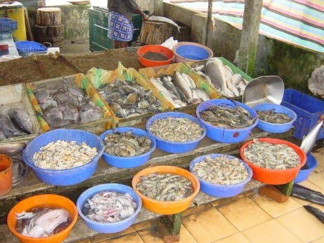Fischmarkt in Kochi im Bundesstaat Kerala in Indien