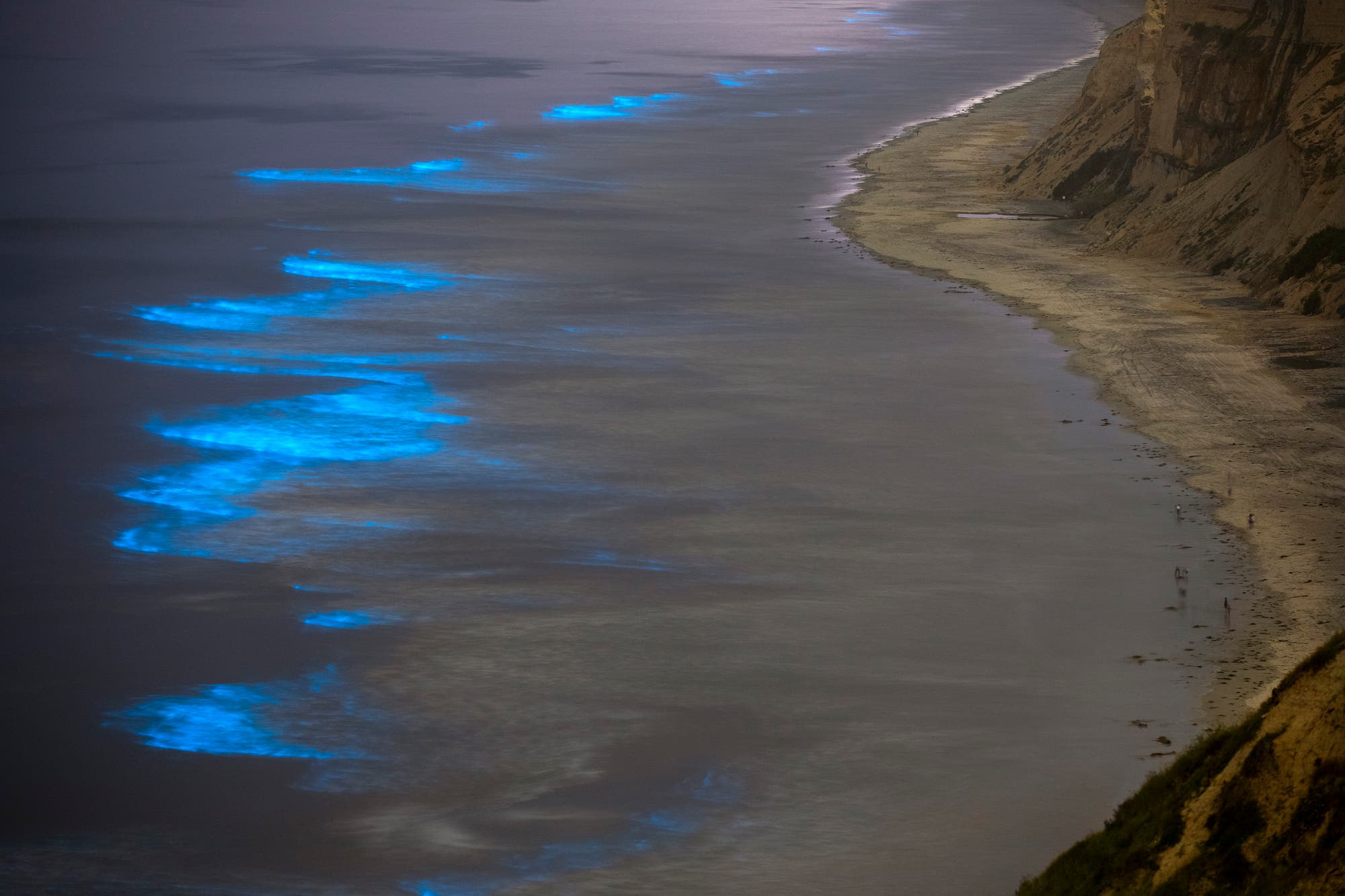 Biolumineszierende Bakterien erzeugen blau leuchtende Wellen an der Küste bei San Diego
