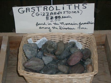 Gastrolithe