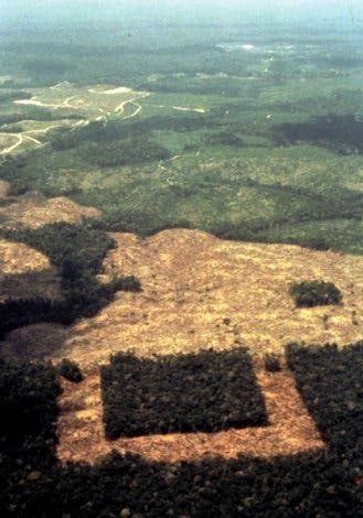 Fragmentierter Wald in Amazonien