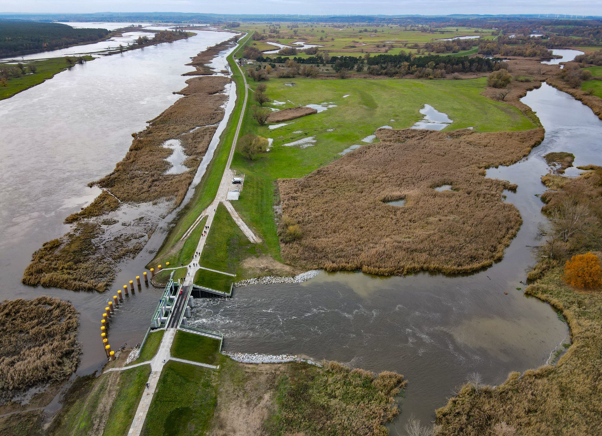 Luftaufnahme einer Flusslandschaft mit einem Damm in der Mitte. Links fließt ein breiter Fluss, während rechts ein kleinerer Kanal durch eine grüne Wiesenlandschaft verläuft. Der Damm verbindet beide Wasserwege und ist mit gelben Bojen markiert. Im Hintergrund erstrecken sich Felder und Wälder bis zum Horizont. Keine Menschen sind sichtbar.