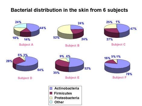 Die bakterielle Hautflora des Menschen: Gemeinsamkeiten und Unterschiede 