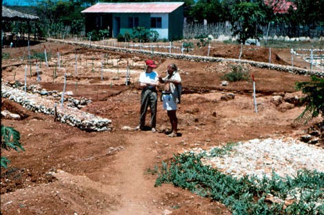 Grabungsstätte La Isabela auf der Insel Hispaniola